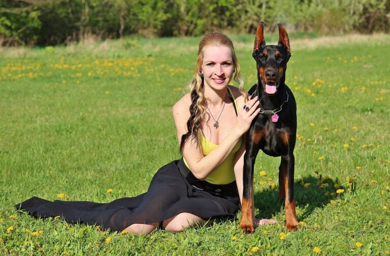 Strongest Dog Breeds in the World | ये हैं दुनिया के सबसे खतरनाक कुत्ते, ले सकते हैं किसी की भी जान