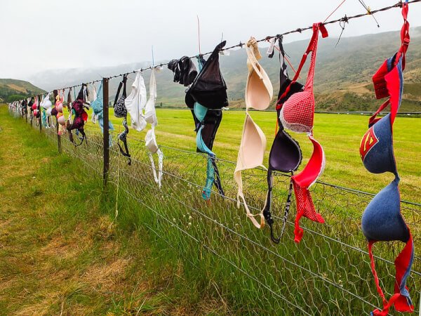 20 Interesting Facts about New Zealand in Hindi | न्यूजीलैंड से जुड़े रोचक तथ्य %count(title) Interesting Facts about New Zealand in Hindi | न्यूजीलैंड से जुड़े रोचक तथ्य