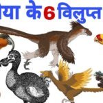 दुनिया के कुछ विलुप्त पक्षी | Extinct Birds Facts in Hindi