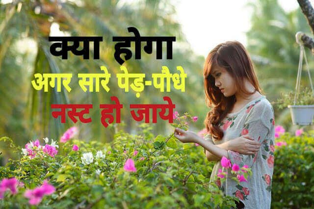 what will happen if all the trees in the earth disappear | क्या होगा अगर पृथ्वी पर के सारे पेड़ काट दिए जाए?