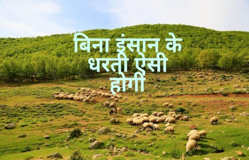 Earth without Humans in Hindi | क्या होगा पृथ्वी का अगर इंसान चले जाए?