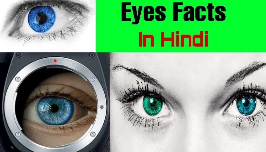 Eye Facts in Hindi Interesting and Amazing Facts about Eyes