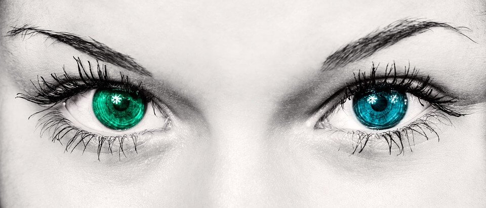 eyes facts Interesting and Amazing Facts about Eyes