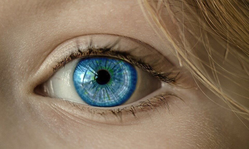 Blue Eye Eye Facts,Interesting and Amazing Facts about Eyes