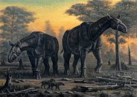 Interesting Facts about Paraceratherium in Hindi | Paraceratherium के बारे में रोचक तथ्य
