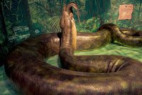 aitanoboa Snake (टाइटनोबोआ सांप) के बारे में रोचक तथ्य | Taitanoboa : Biggest Snake of the world