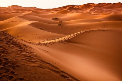 रेगिस्तान के बारे में जानकारी और रोचक तथ्य - Interesting Facts about Desert in Hindi रेगिस्तान के बारे में जानकारी और रोचक तथ्य - Interesting Facts about Desert in Hindi
