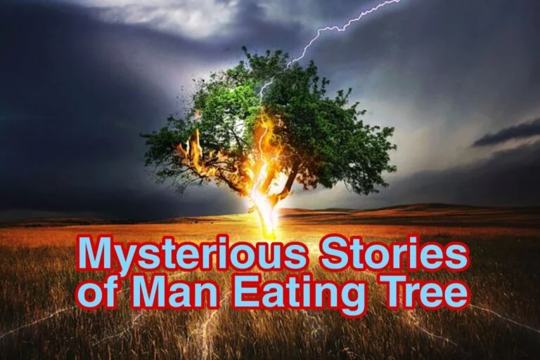 Mysterious stories of man eating trees | इंसान को खाने वाले पेड़ो की अनसुनी कहानी