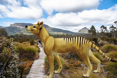 ऑस्ट्रेलिया के बारे में 38 रोचक तथ्य - Interesting Facts about Australia in Hindi