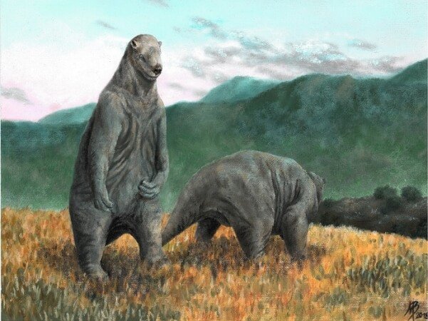 10 Facts about Giant Ground Sloth in Hindi | मेगाथेरियम या जायंट ग्राउंड स्लोथ के बारे में रोचक तथ्य