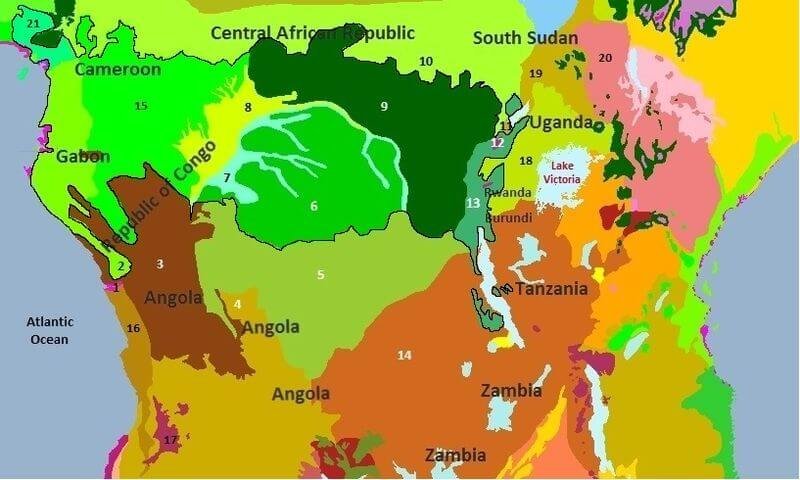 Information about Congo RainForest in Hindi | यह है दुनिया दूसरा का सबसे बड़ा जंगल