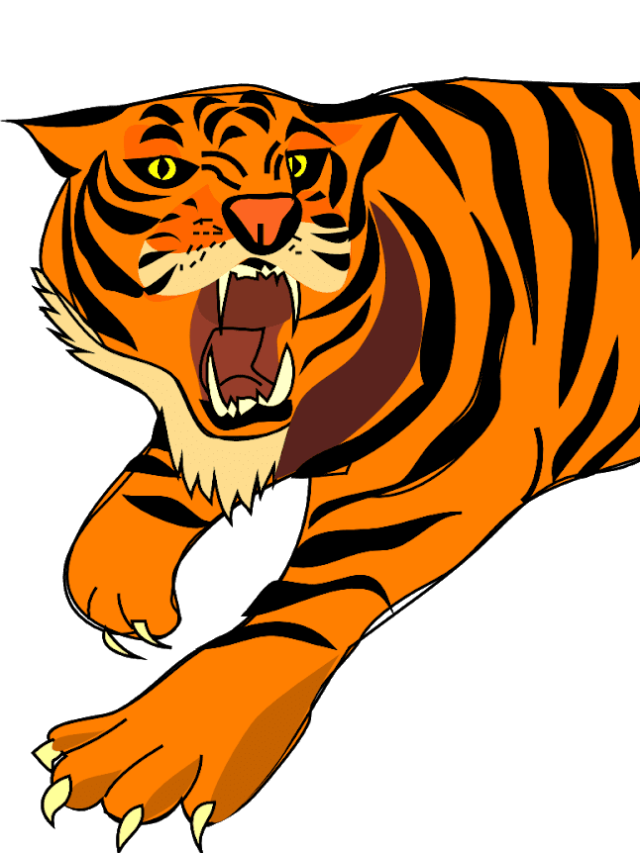 Information about Tiger in Hindi