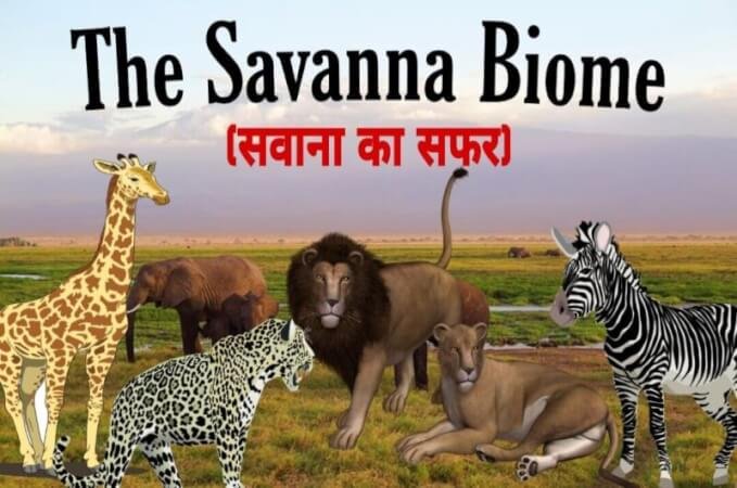 African savanna in Hindi