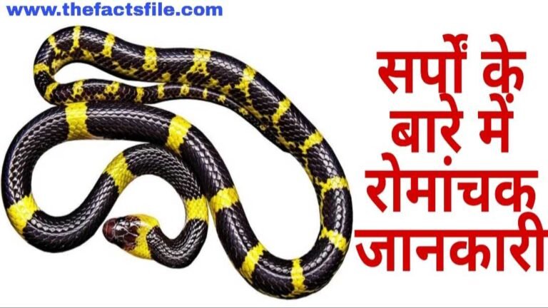 Facts about Snakes in Hindi - सांप के बारे में 21 मजेदार तथ्य
