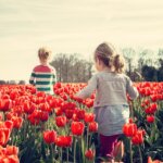 Facts about Tulip Flower in Hindi - टयूलिप फूल के बारे में मजेदार बातें