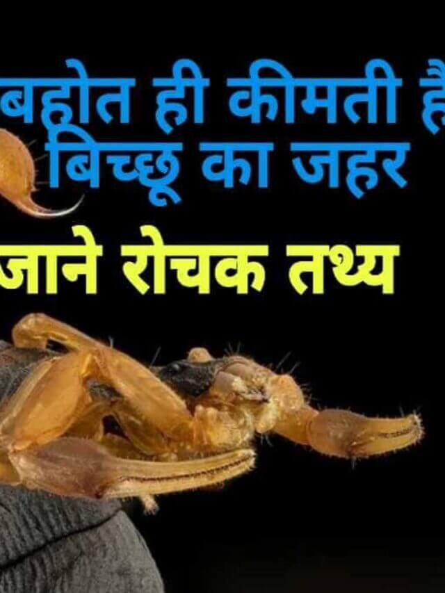 Amazing Facts about Scorpions in Hindi, बिच्छू के बारे मे जानकारी और तथ्य