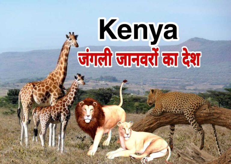 Facts and Information about Kenya in Hindi - केन्या देश के बारे में 15 मजेदार तथ्य