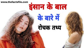 बालों से जुडे 19 मजेदार तथ्य जो आपको हेरान कर देगा - Interesting Facts about Human Hair 