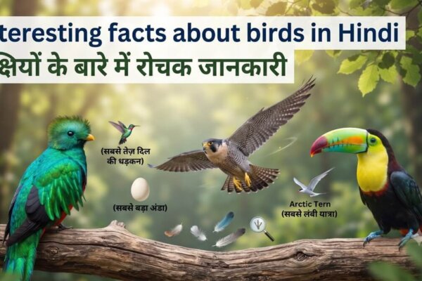 Amazing Facts about birds in Hindi | पक्षियों के बारे में रोचक तथ्य भाग 1