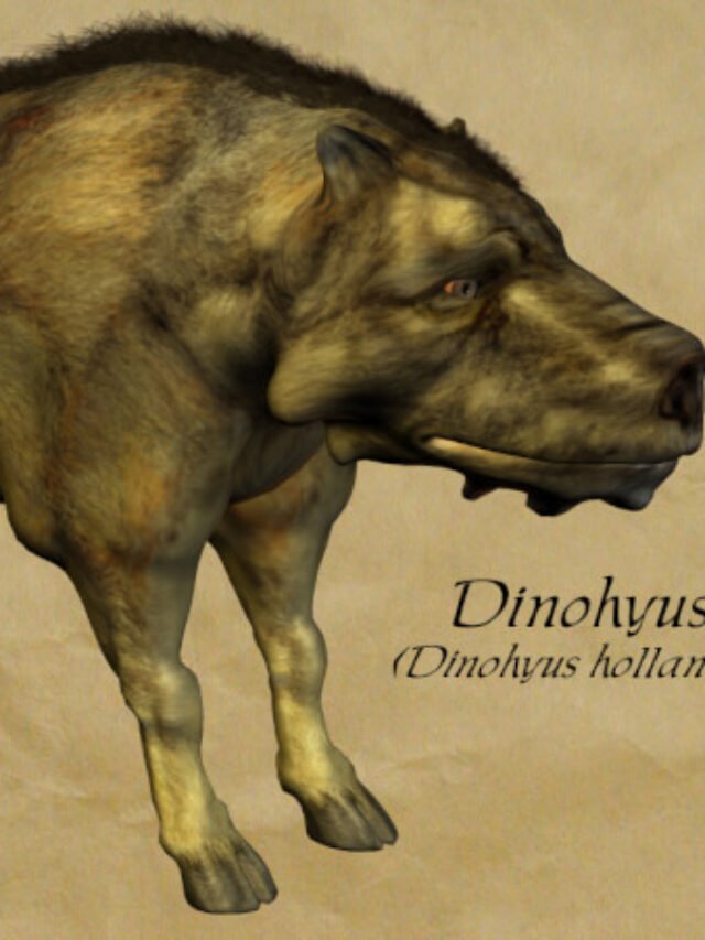 यह है दुनिया के सबसे बड़े और खतरनाक जानवर