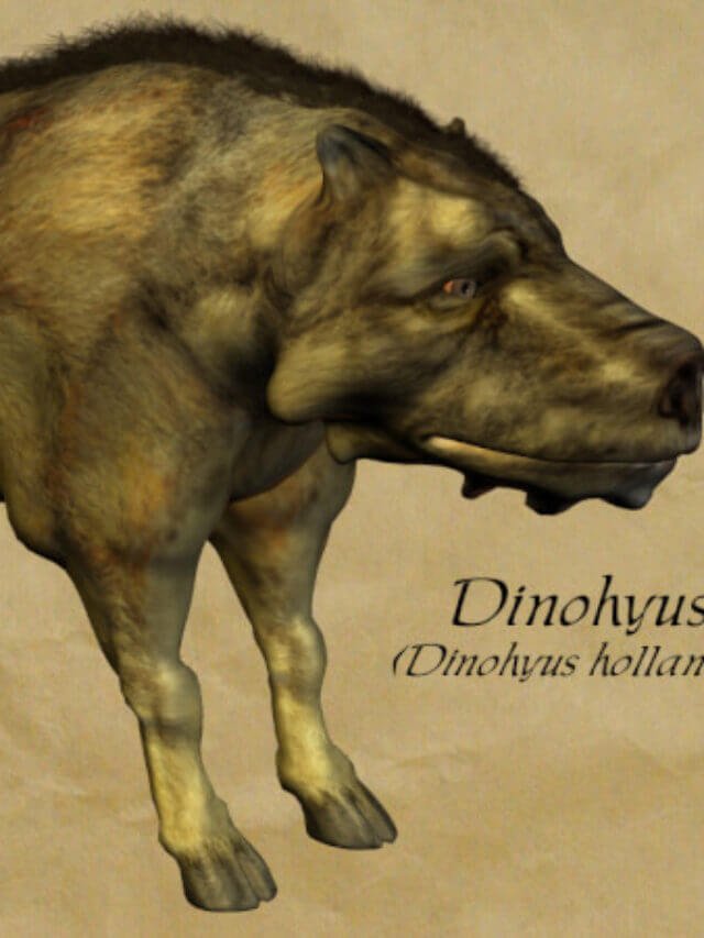 Biggest animal of the world in Hindi - यह है दुनिया के सबसे बड़े और खतरनाक जानवर