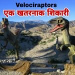 Facts about Velociraptors in Hindi