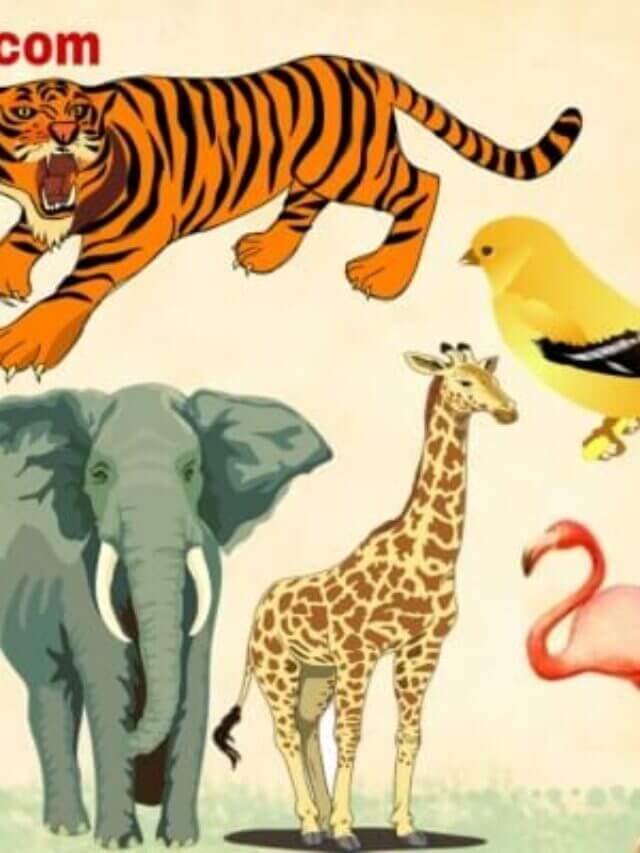 जाने वन्यजीवों के बारे में जिनकी प्रजातिया लगातार कम हो रही है, Why Wild Animals number decreasing?