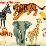 जाने वन्यजीवों के बारे में जिनकी प्रजातिया लगातार कम हो रही है, Why Wild Animals number decreasing?