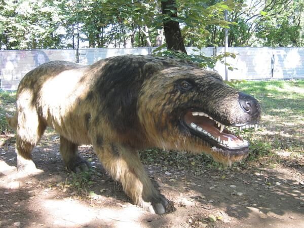 Andrewsarchus - Largest Predatory Mammal in Hindi | Prehistoric animal