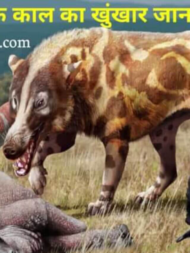 Andrewsarchus - Largest Predatory Mammal in Hindi | Prehistoric animal