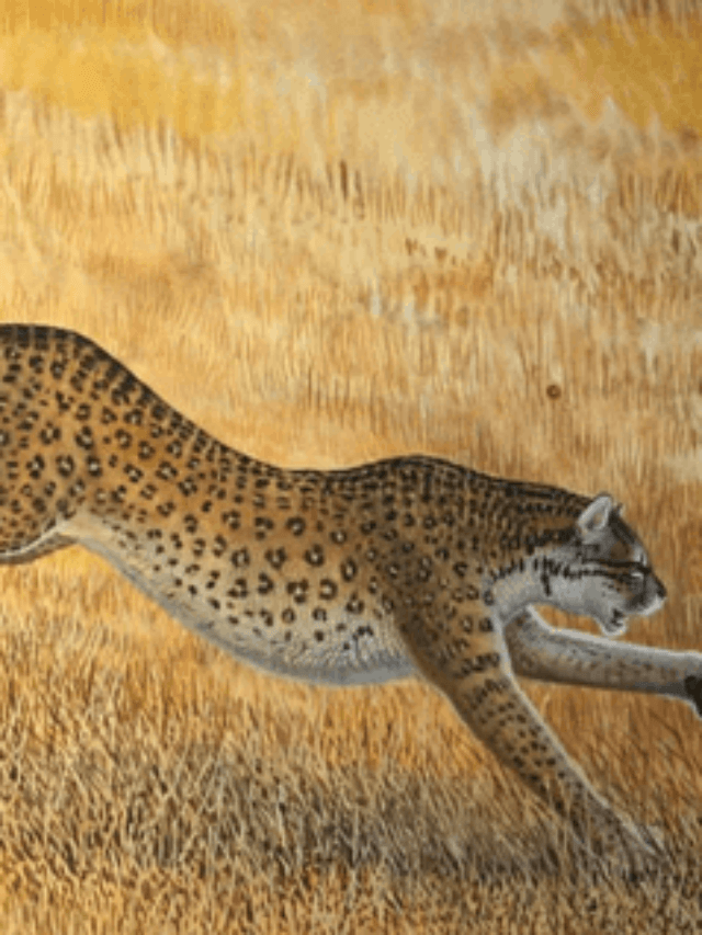 cropped-American-Cheetah-in-Hindi.png