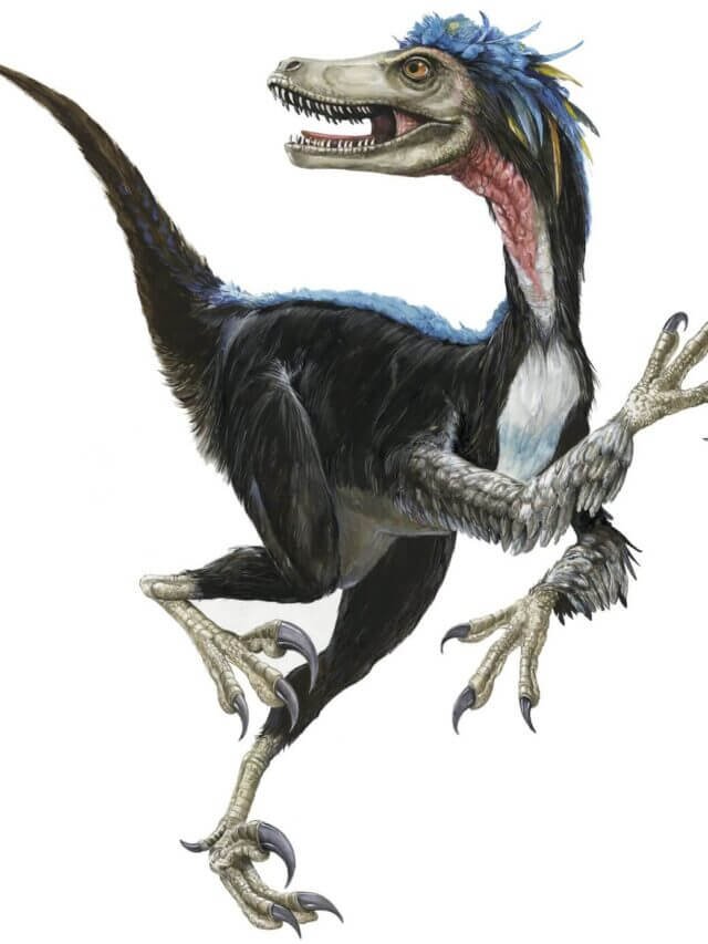 Interesting Facts about Velociraptors in Hindi