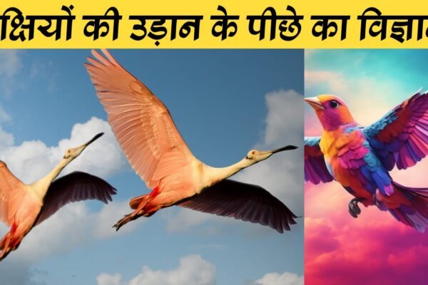 The Science of Bird Flight: How Do They Do It? | पक्षियों की उड़ान का विज्ञान: वे यह कैसे करते हैं?