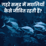How Fish Survive in the Deep Ocean? | गहरे समुद्र में मछलियाँ कैसे जीवित रहती हैं?