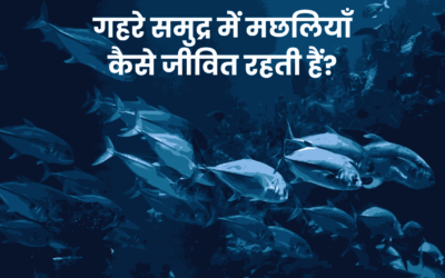 How Fish Survive in the Deep Ocean? | गहरे समुद्र में मछलियाँ कैसे जीवित रहती हैं?