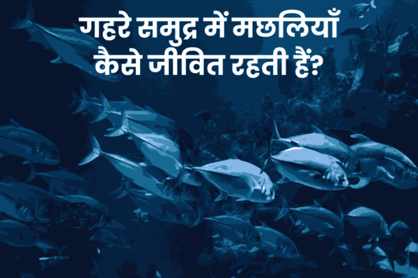 How Fish Survive in the Deep Ocean? | गहरे समुद्र में मछलियाँ कैसे जीवित रहती हैं?