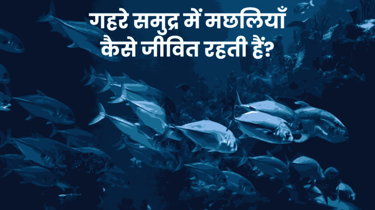 How Fish Survive in the Deep Ocean? | गहरे समुद्र में मछलियाँ कैसे जीवित रहती हैं?
